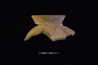 藏品(陶罐)的圖片